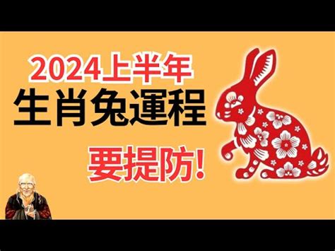 兔年2024運程